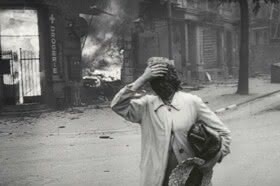 The Natural History of Destruction