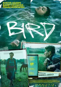 Filmplakat »Bird«