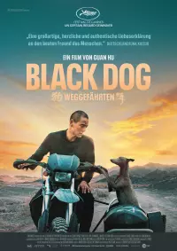 Filmplakat »Black Dog«