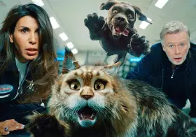 Miau und Wau