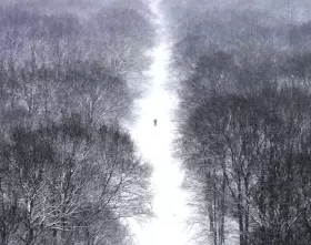 Filmszene »Siberia«