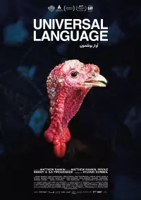 Filmplakat »Universal Language«