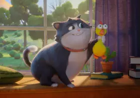 Alles für die Katz
