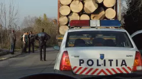 Filmszene »Wood - Der geraubte Wald«